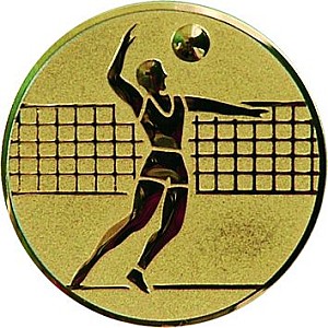 Emblém D1 - A6/G