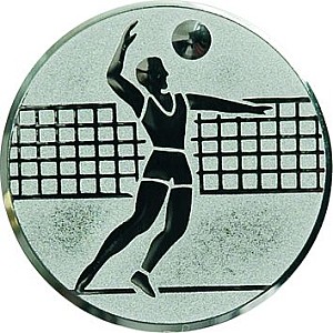 Emblém D1 - A6/S